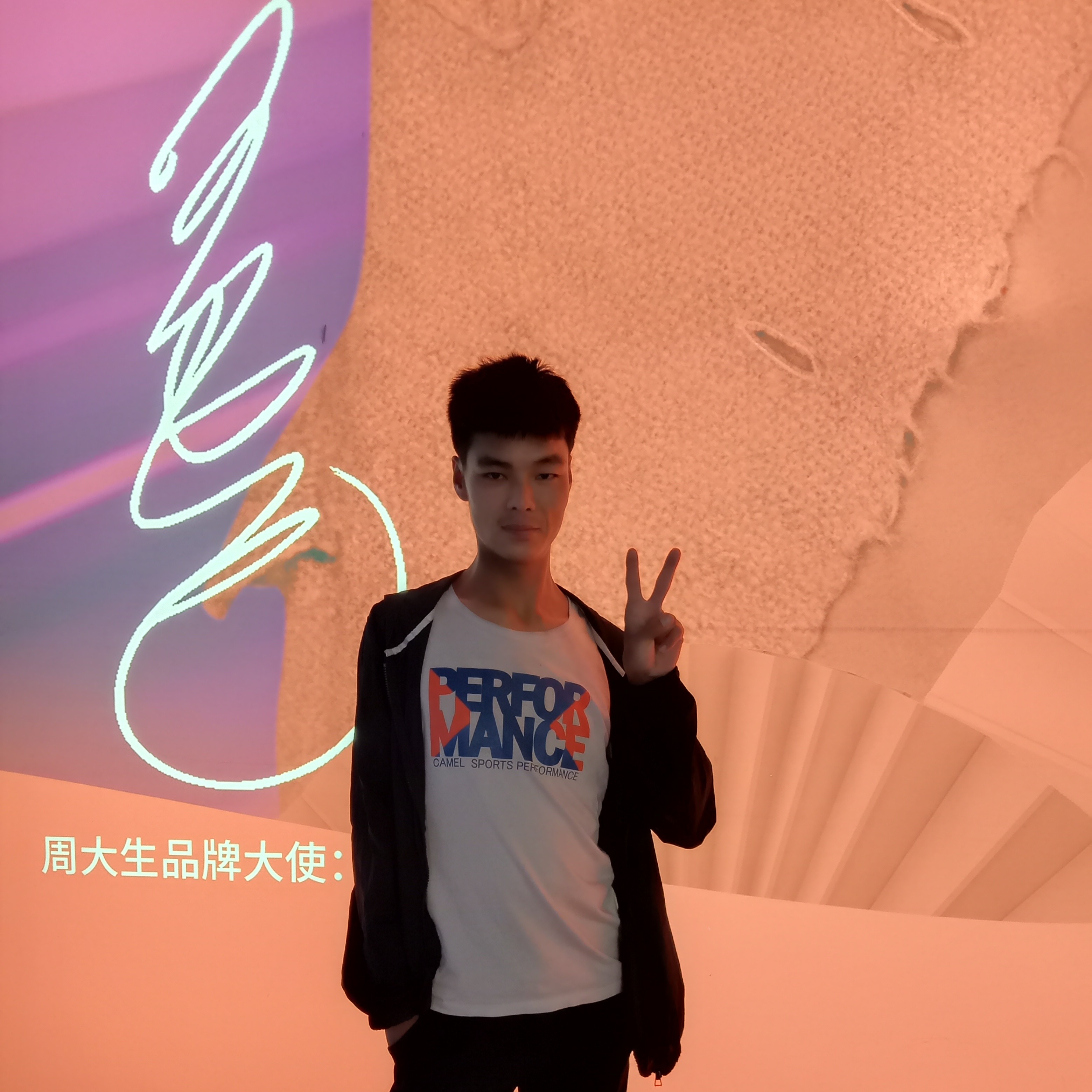 斑马等于潇洒的照片