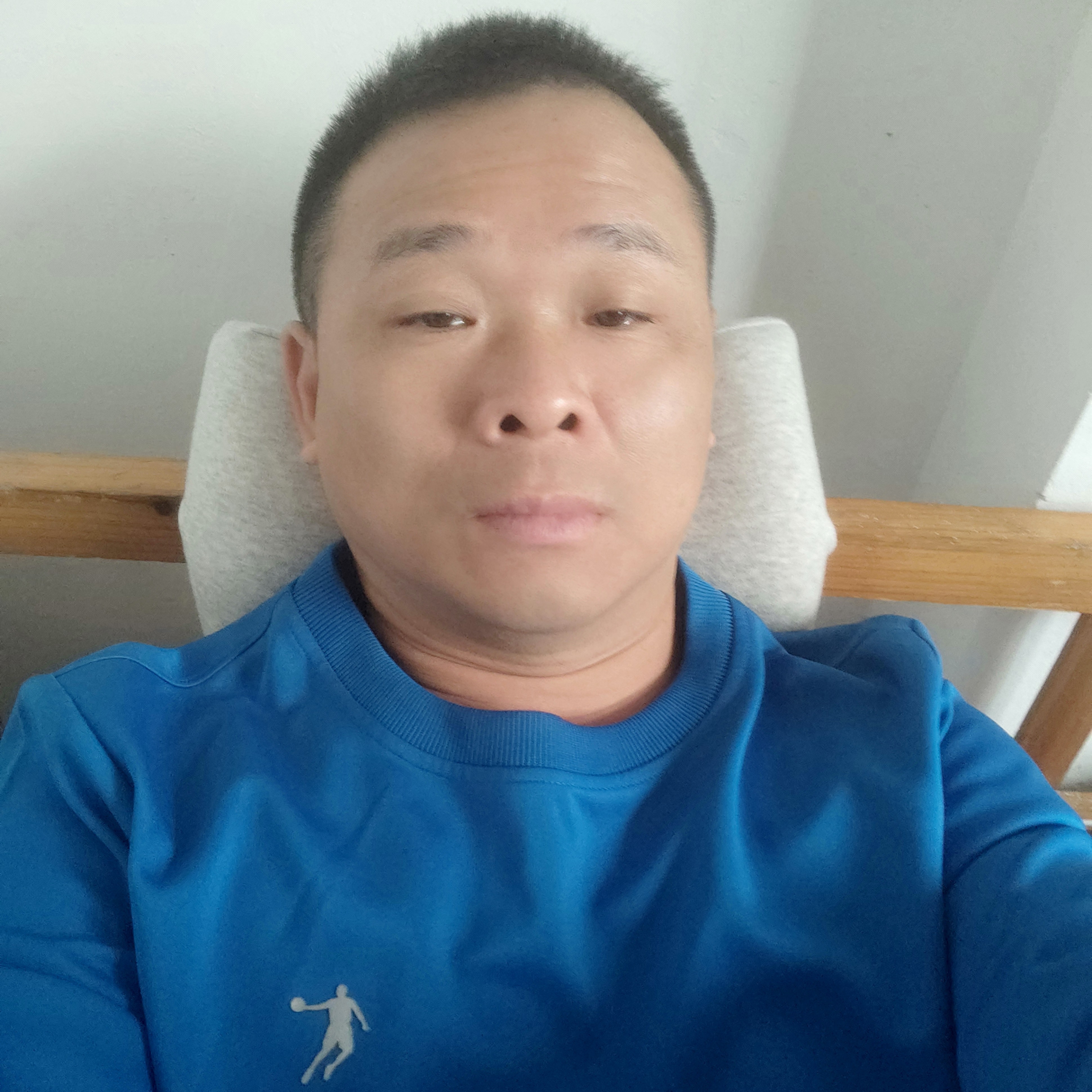黄蜂眼睛大的照片