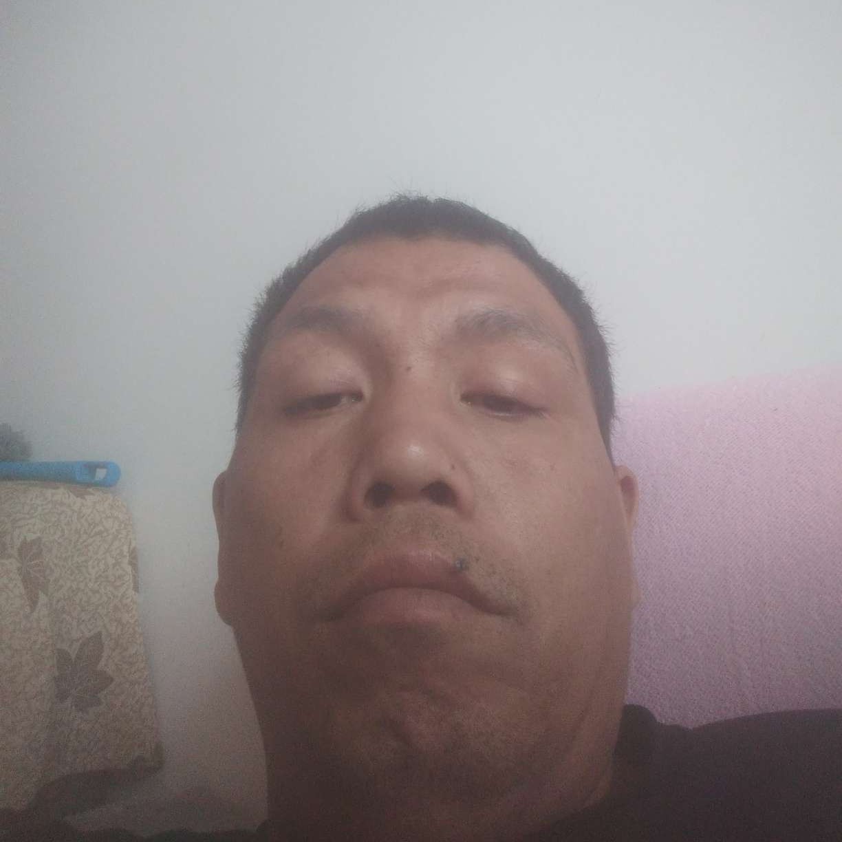 刺猬多情954的照片
