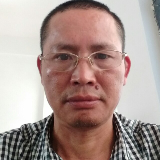 聪慧黑夜常青树的照片
