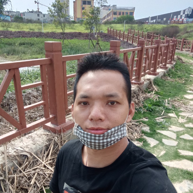 仙人掌倾心大力的照片