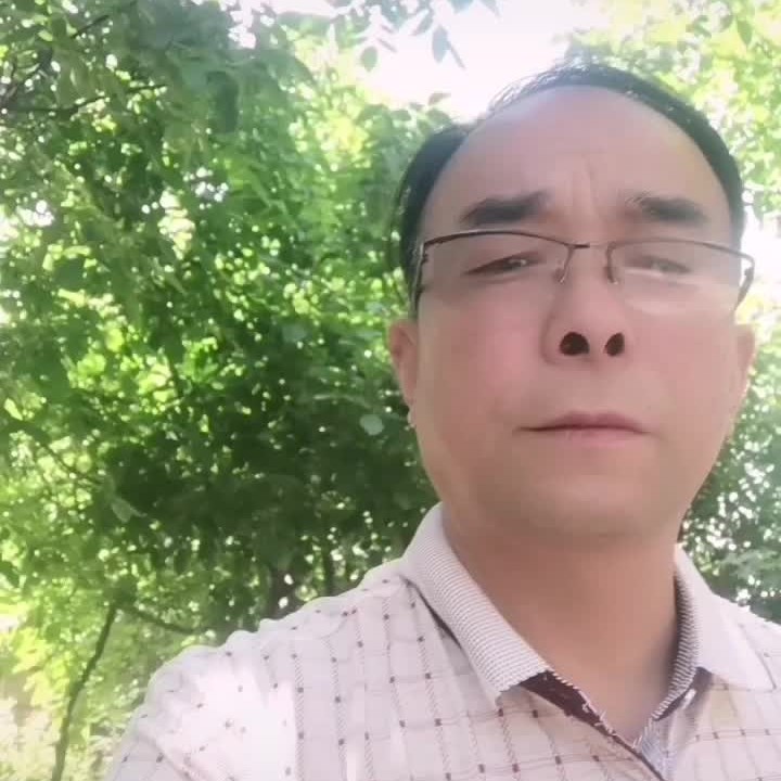 金色阳光在西安的照片