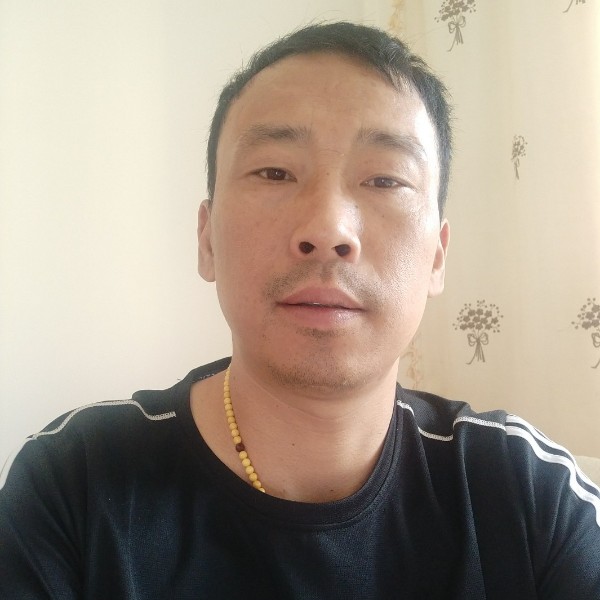 西牛苦恋烂漫的照片