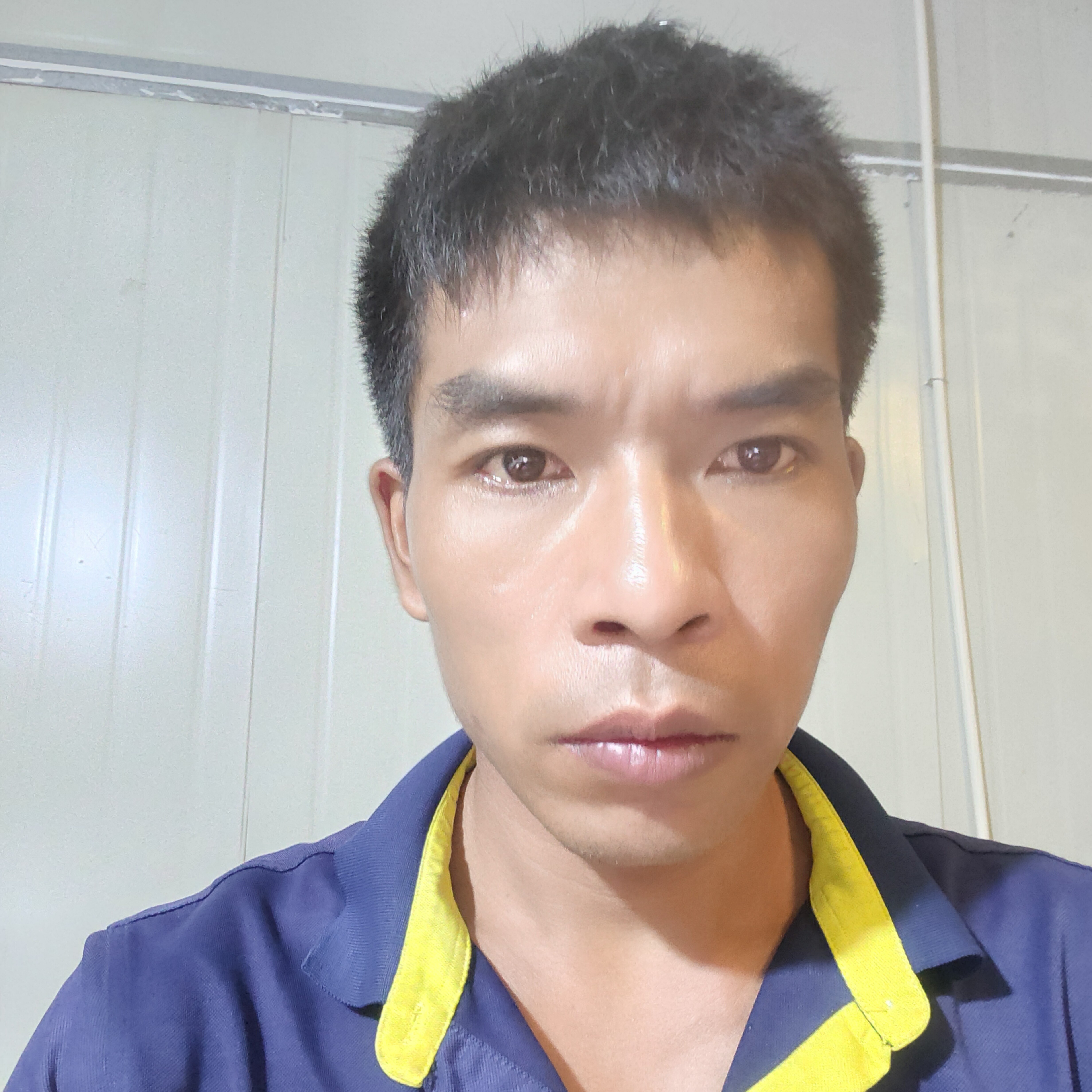 火龙果扯执着的照片