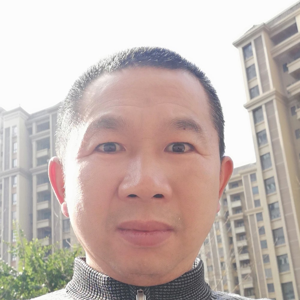 没线的风筝的照片