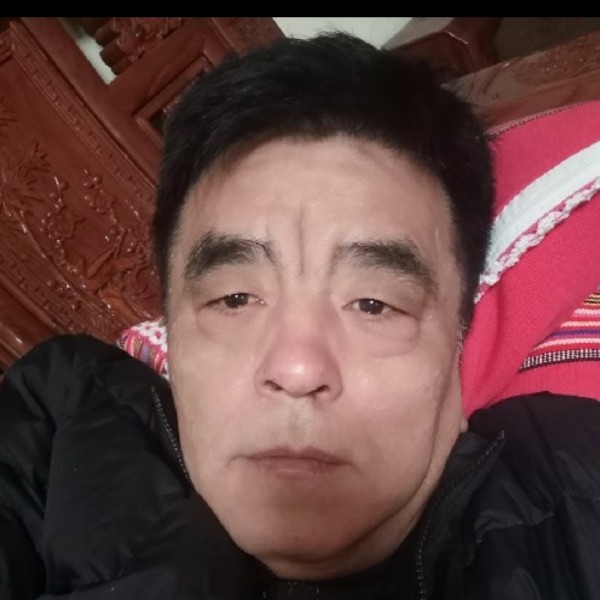 飞奔的种马的照片