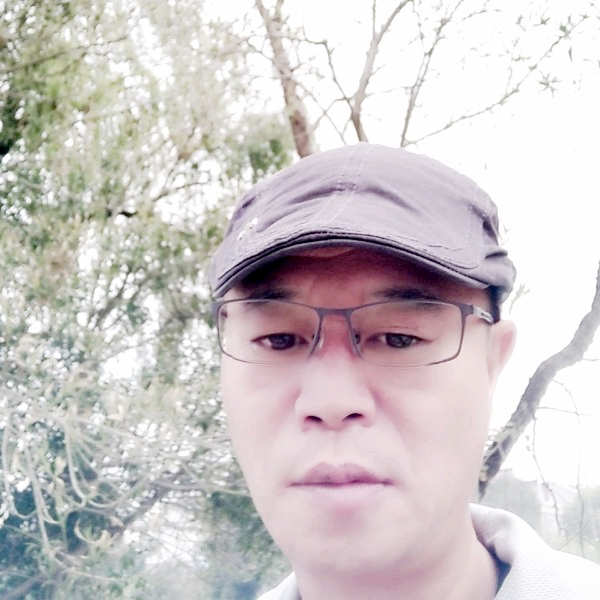 依维柯汽车的照片