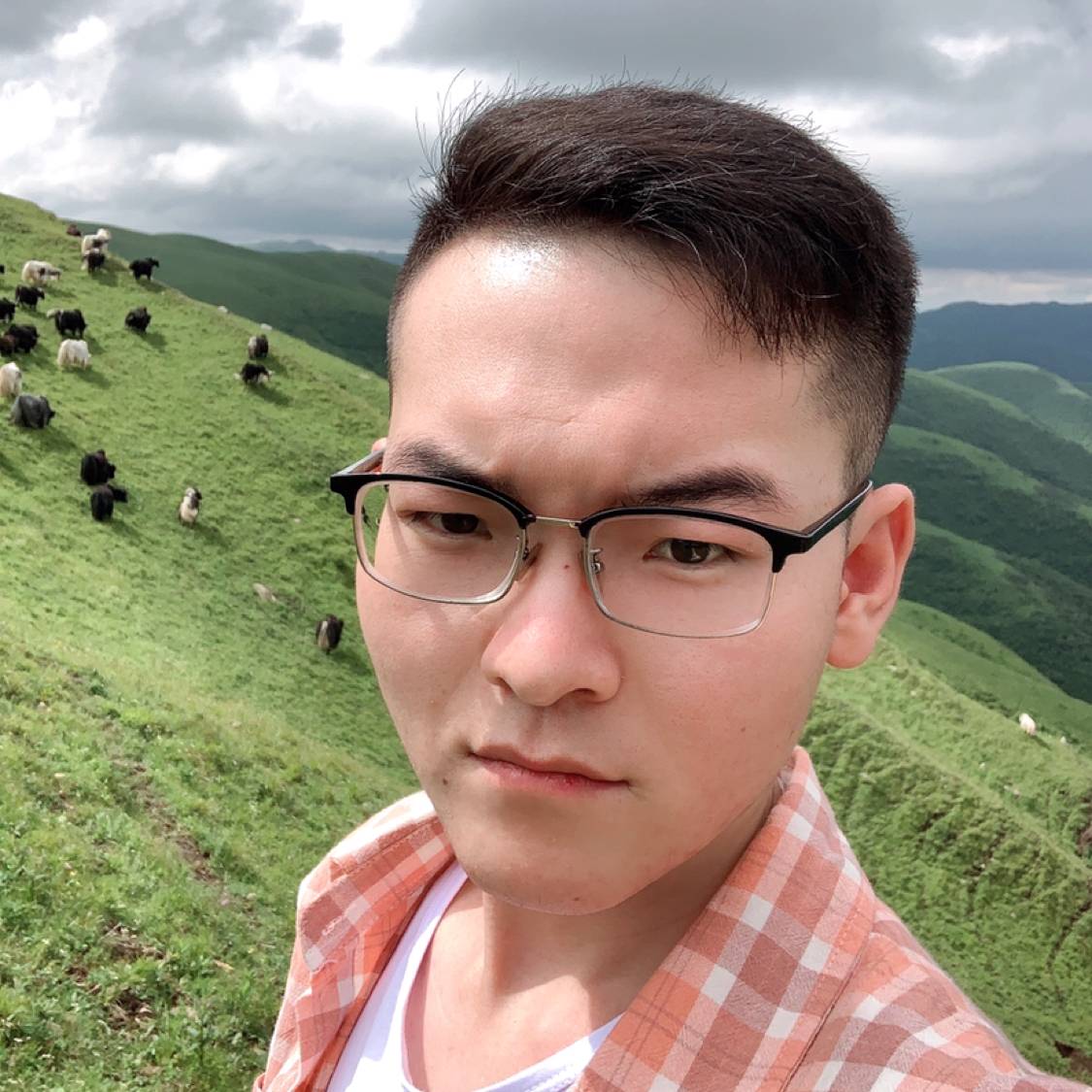 会员971121092的照片