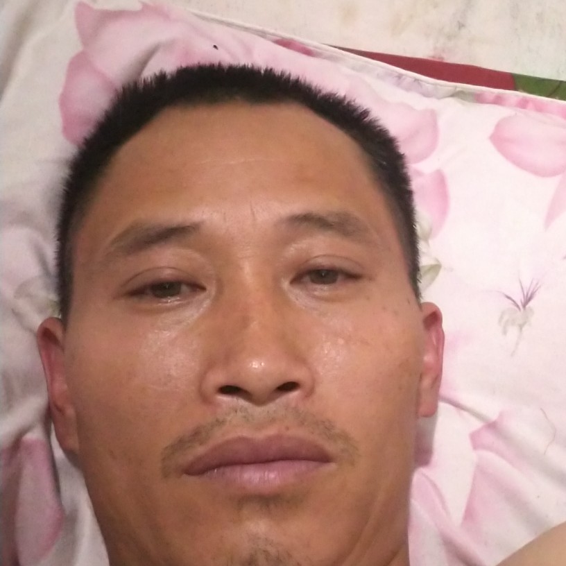 手机就直率的照片