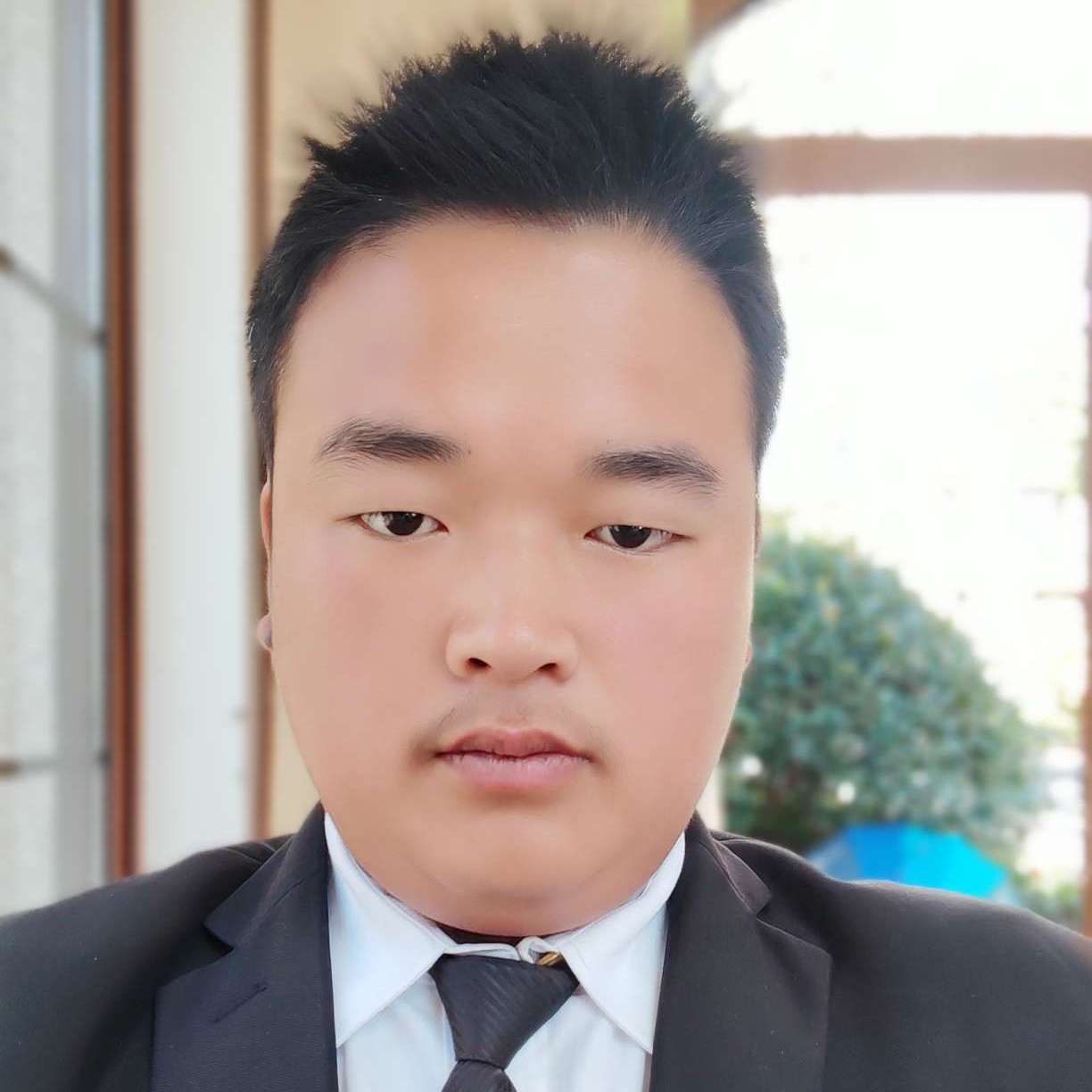 谦让与情动的照片