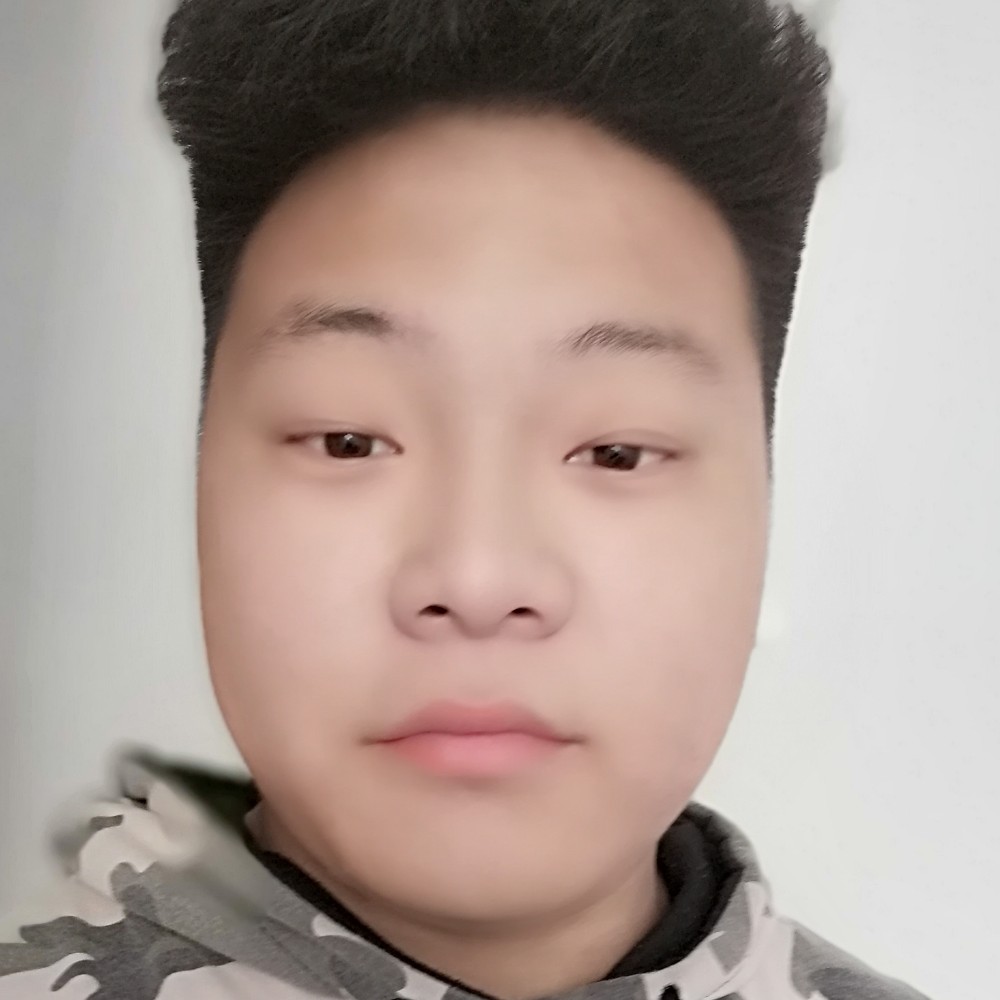 单薄蚂蚁的照片