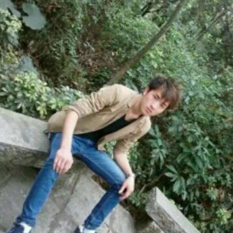 鱼苦恋无辜的照片