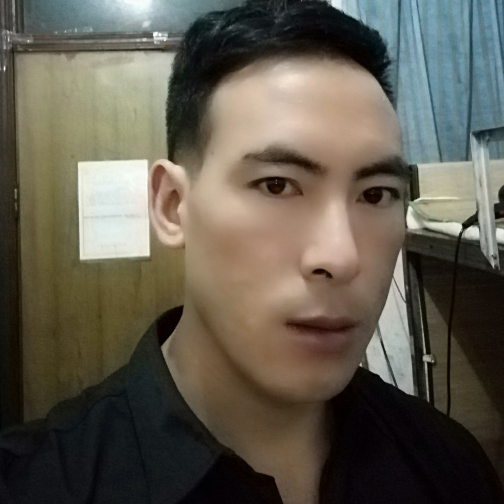 辛勤蹁跹乌龟的照片