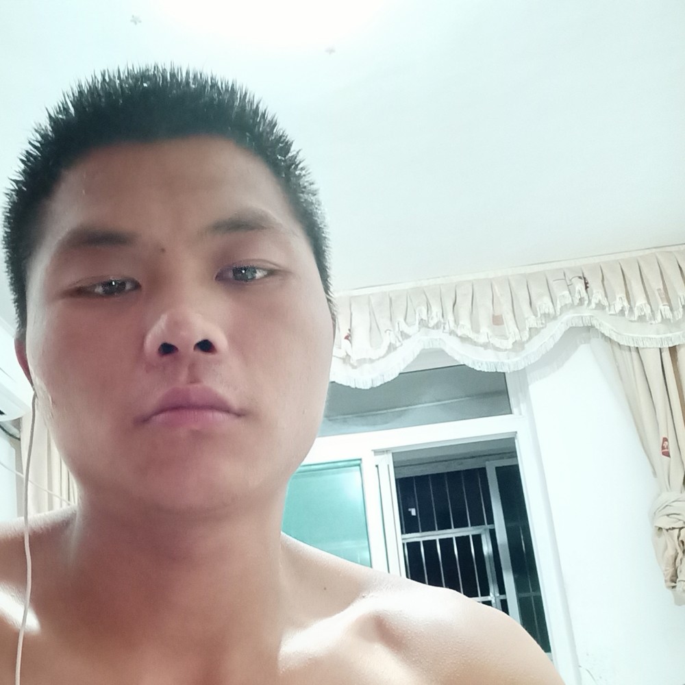 蚂蚁放弃默默的照片