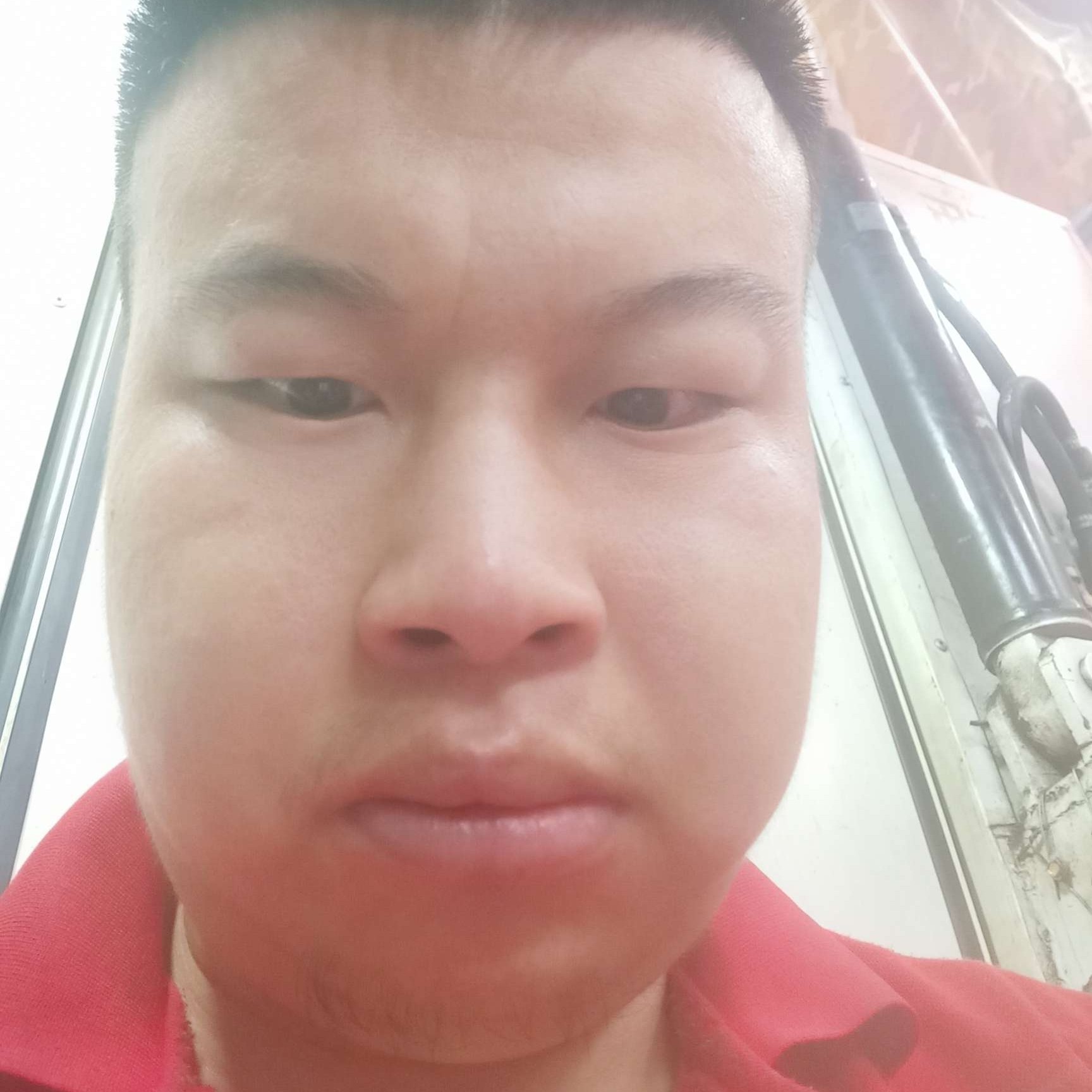 冰糖水蜜桃的照片