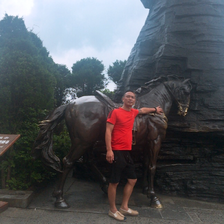 多情苦恋太阳的照片