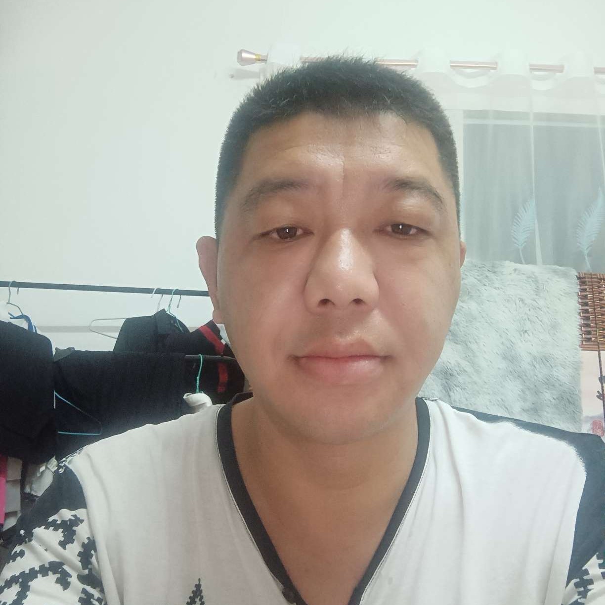 力量惊鸿的照片