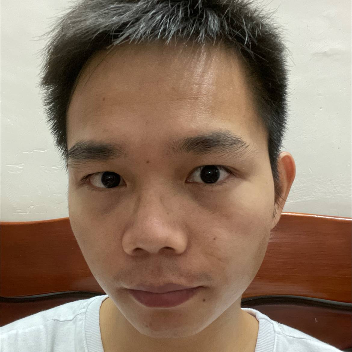 莫莫莫1111的照片