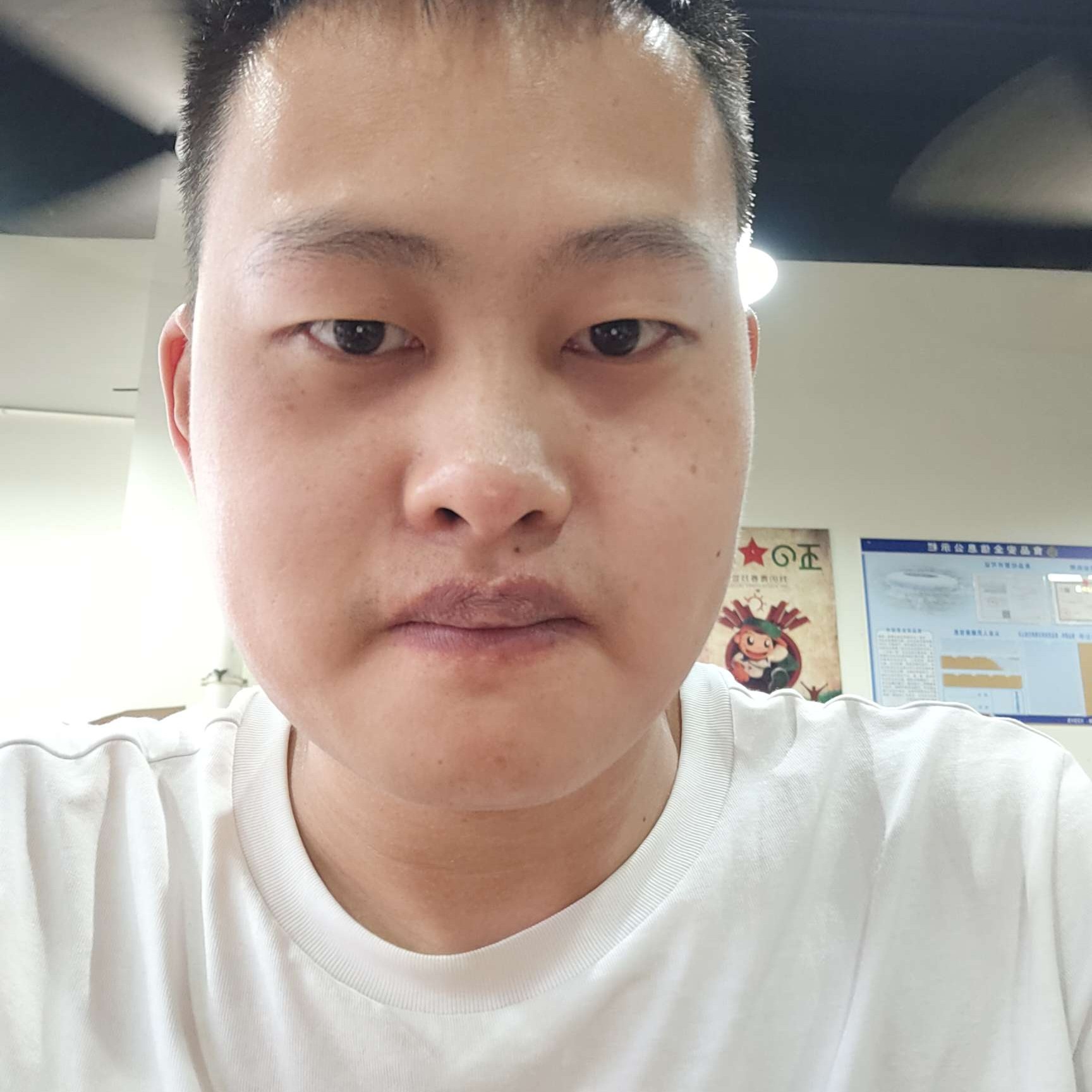 惊鸿苦恋洁净的照片