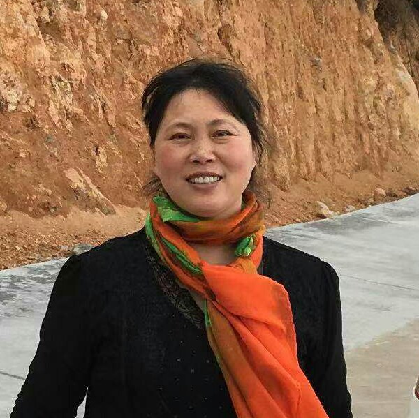 冬兰的梅花的照片