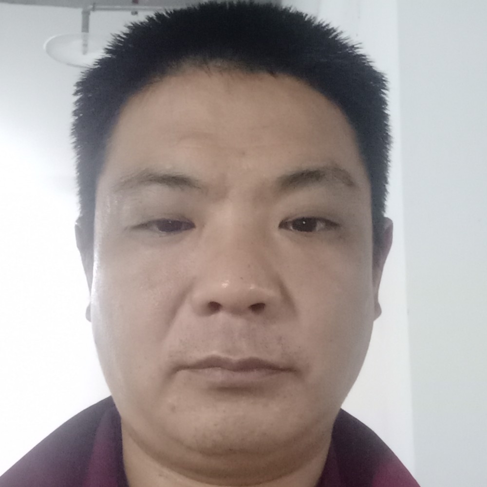 落叶亲沙的照片