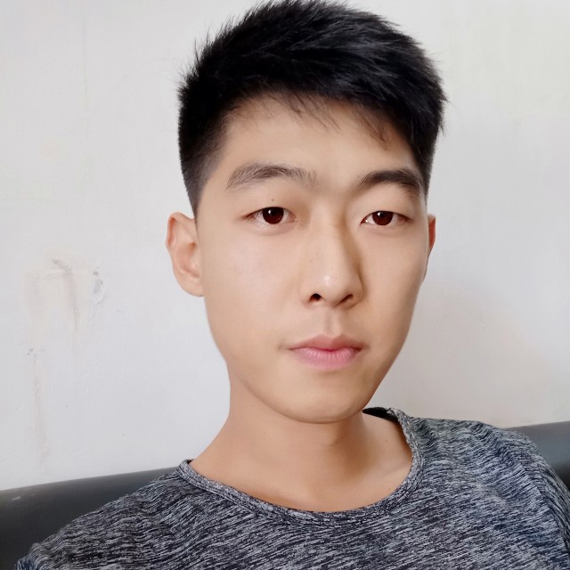 柏拉图格式的照片