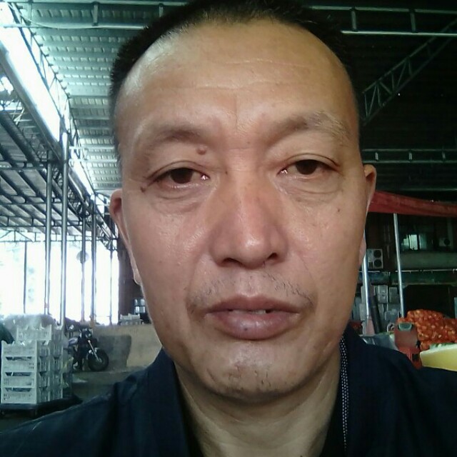 鲤鱼晨阳的照片