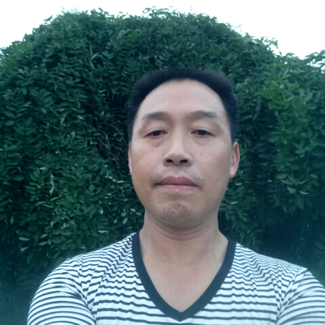 汪兵177771的照片