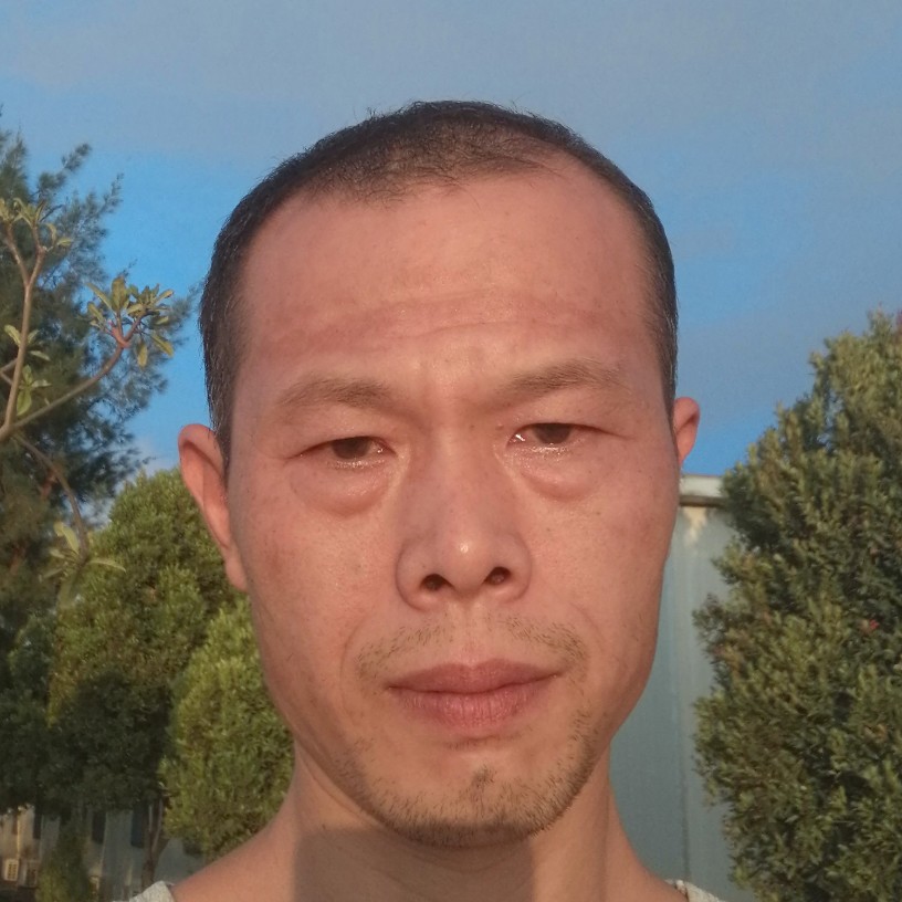 昏睡拾忆枫叶的照片
