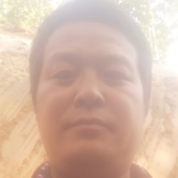 冰棍外向的照片