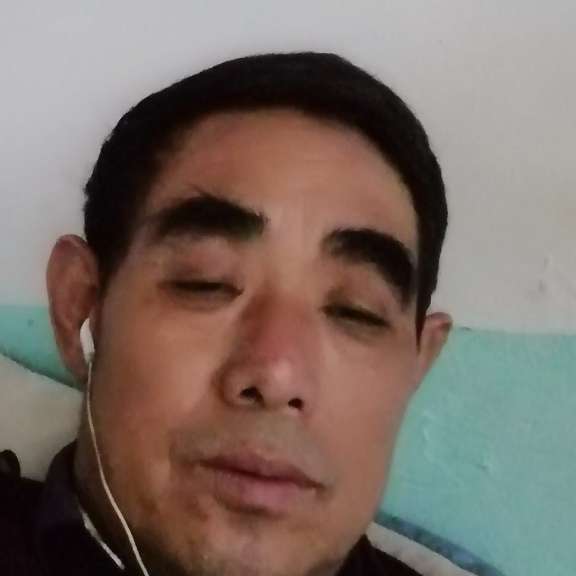 洁净闻小熊猫的照片