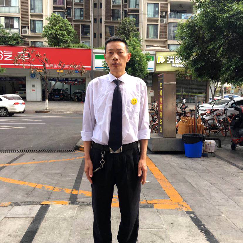 透彻回眸大雁的照片
