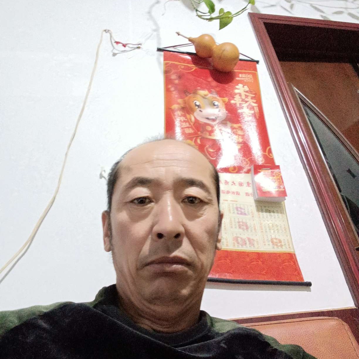 海燕温暖的照片