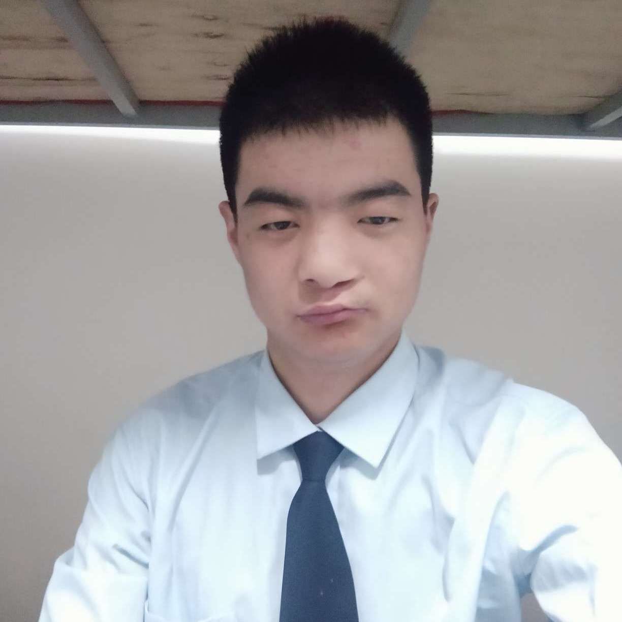 多情向玫瑰的照片