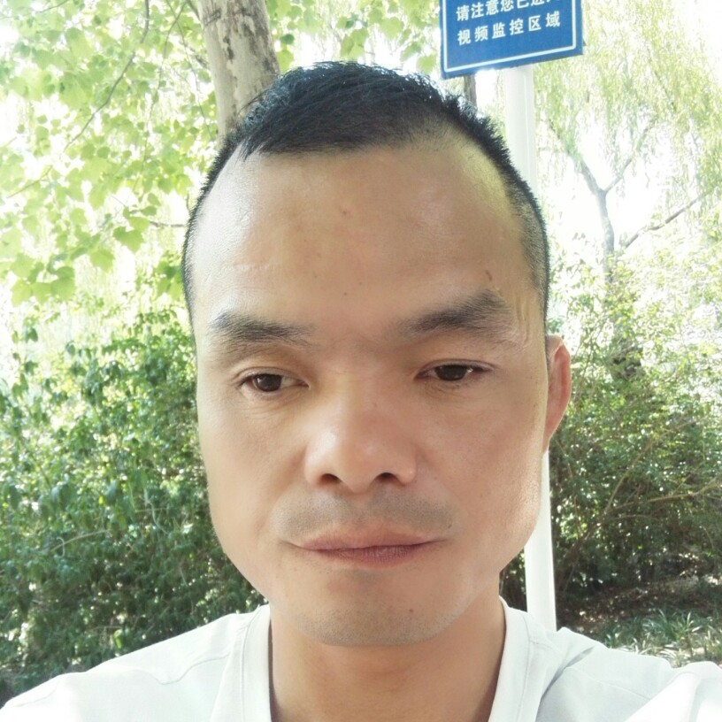 奇异果高高的照片