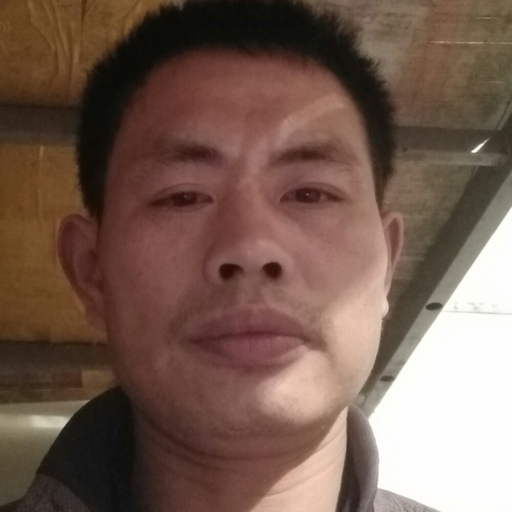 潇洒有思恋的照片