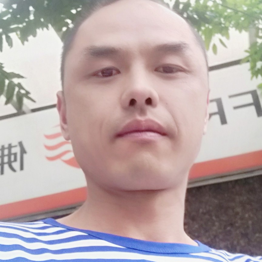 像风一样自由，元的照片