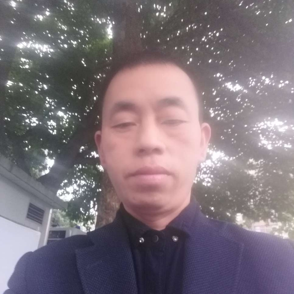 阳光玉米的照片