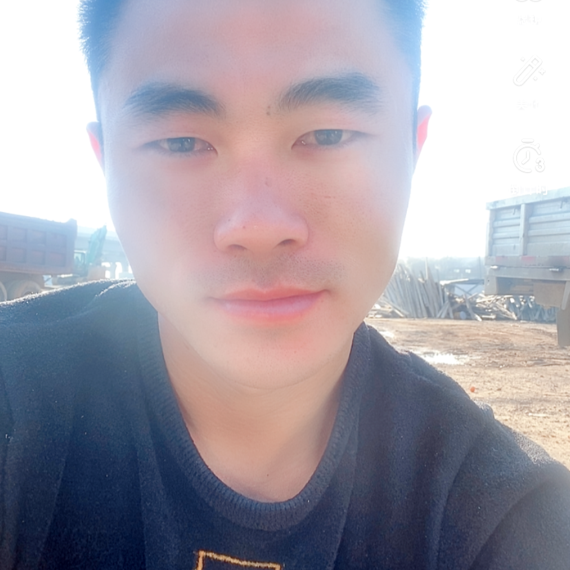 灰狼就坦率的照片