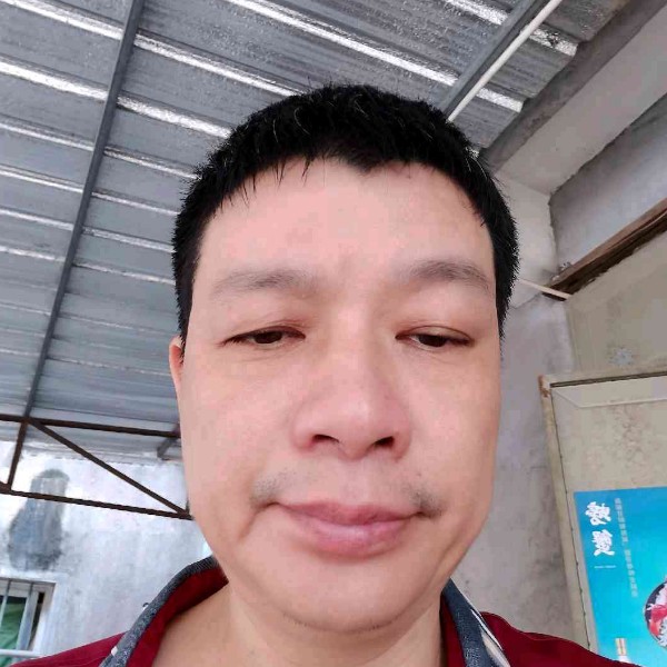 野狼心灵美的照片