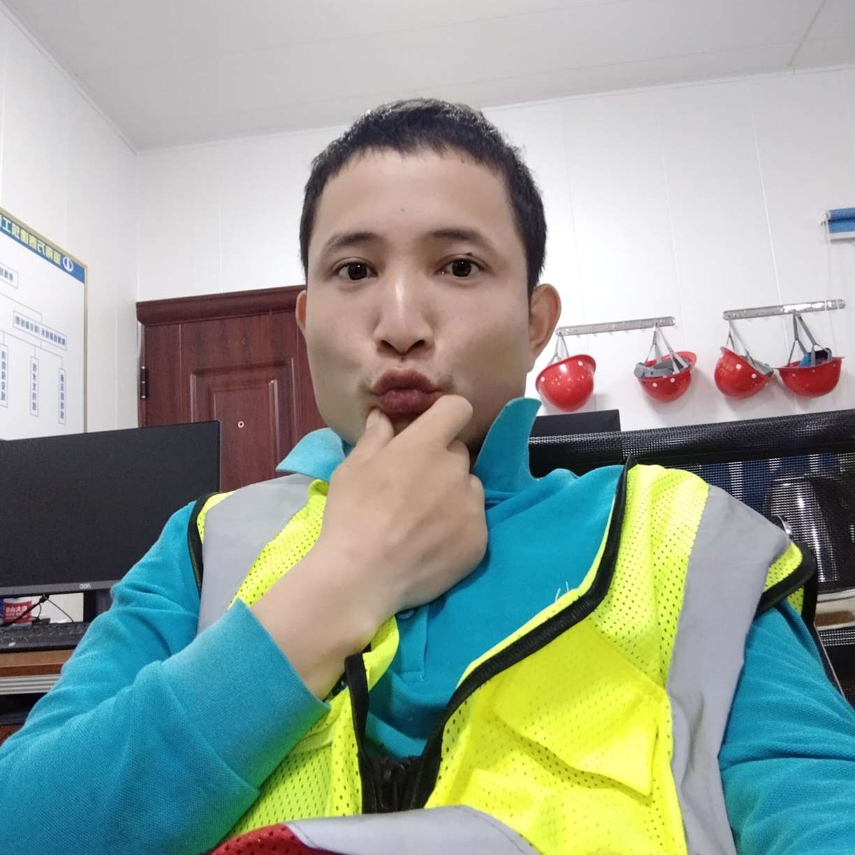 小鸭子深拥怕孤独的照片