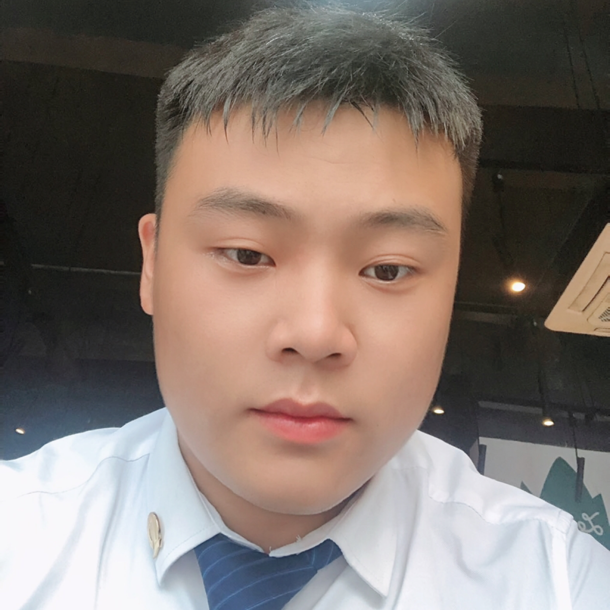 无可取代的迎矮小的照片