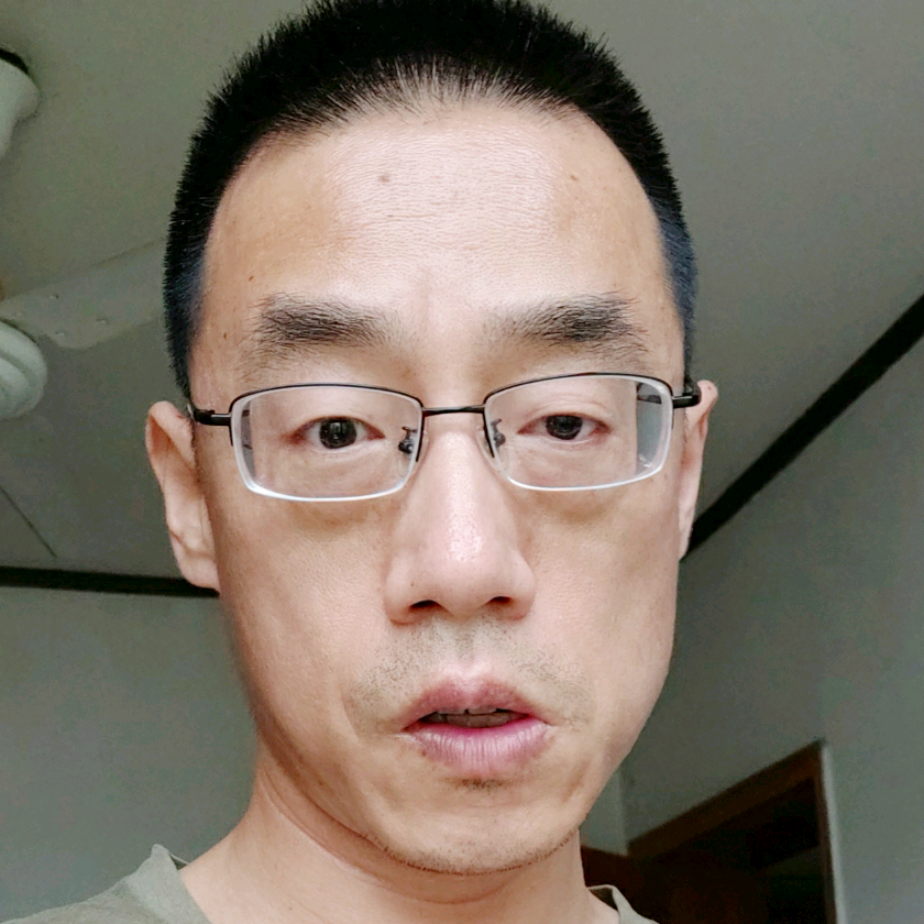 乌龟迷路的照片