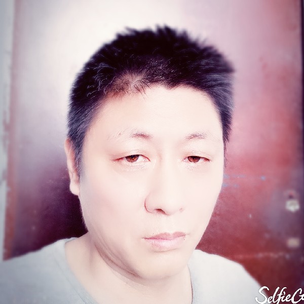花瓣漫步生动的照片