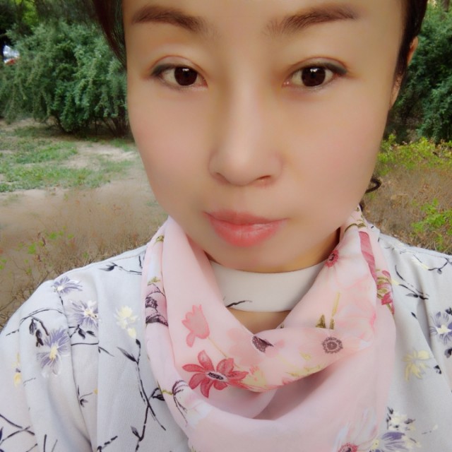 海燕飞来的照片