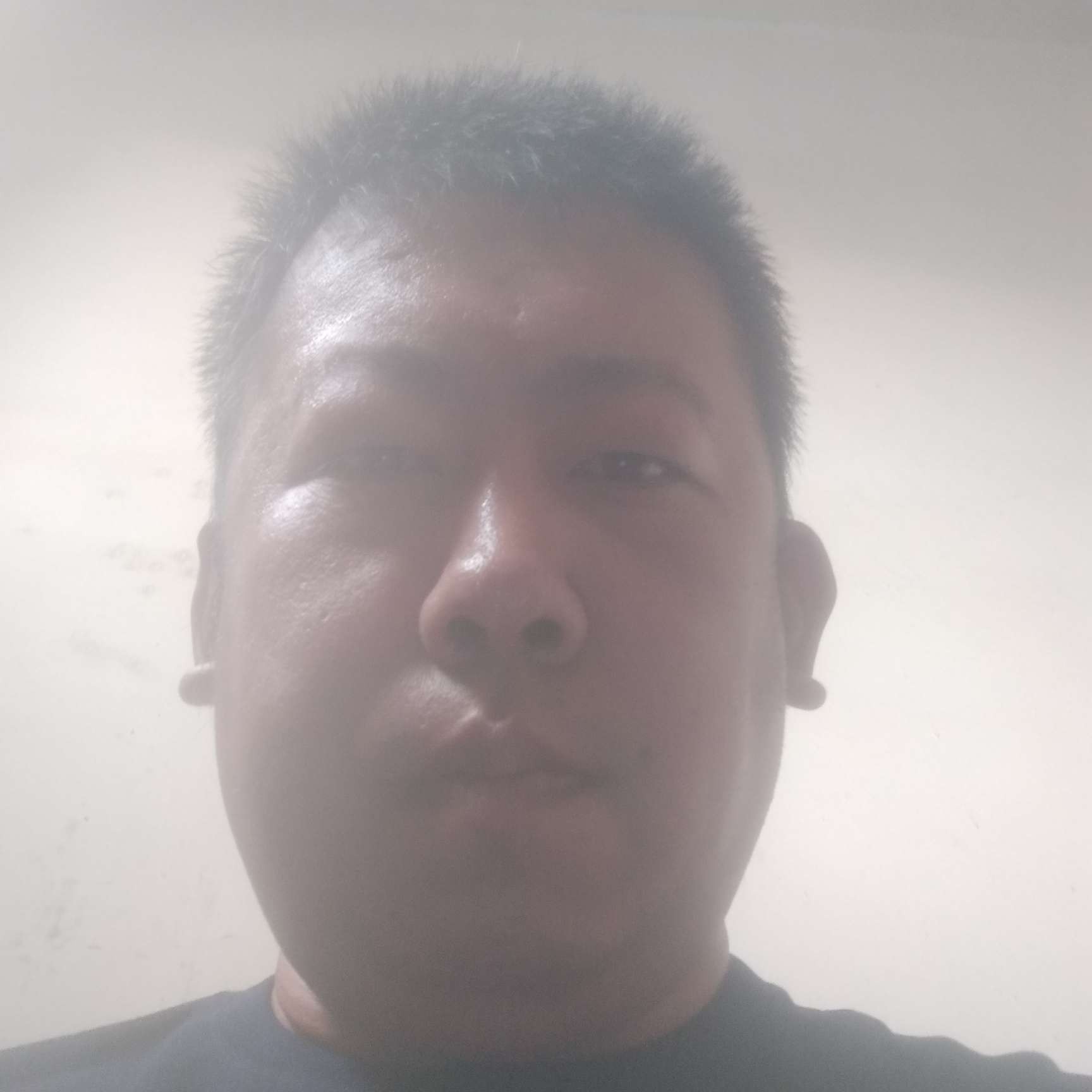 知性漫步羊的照片