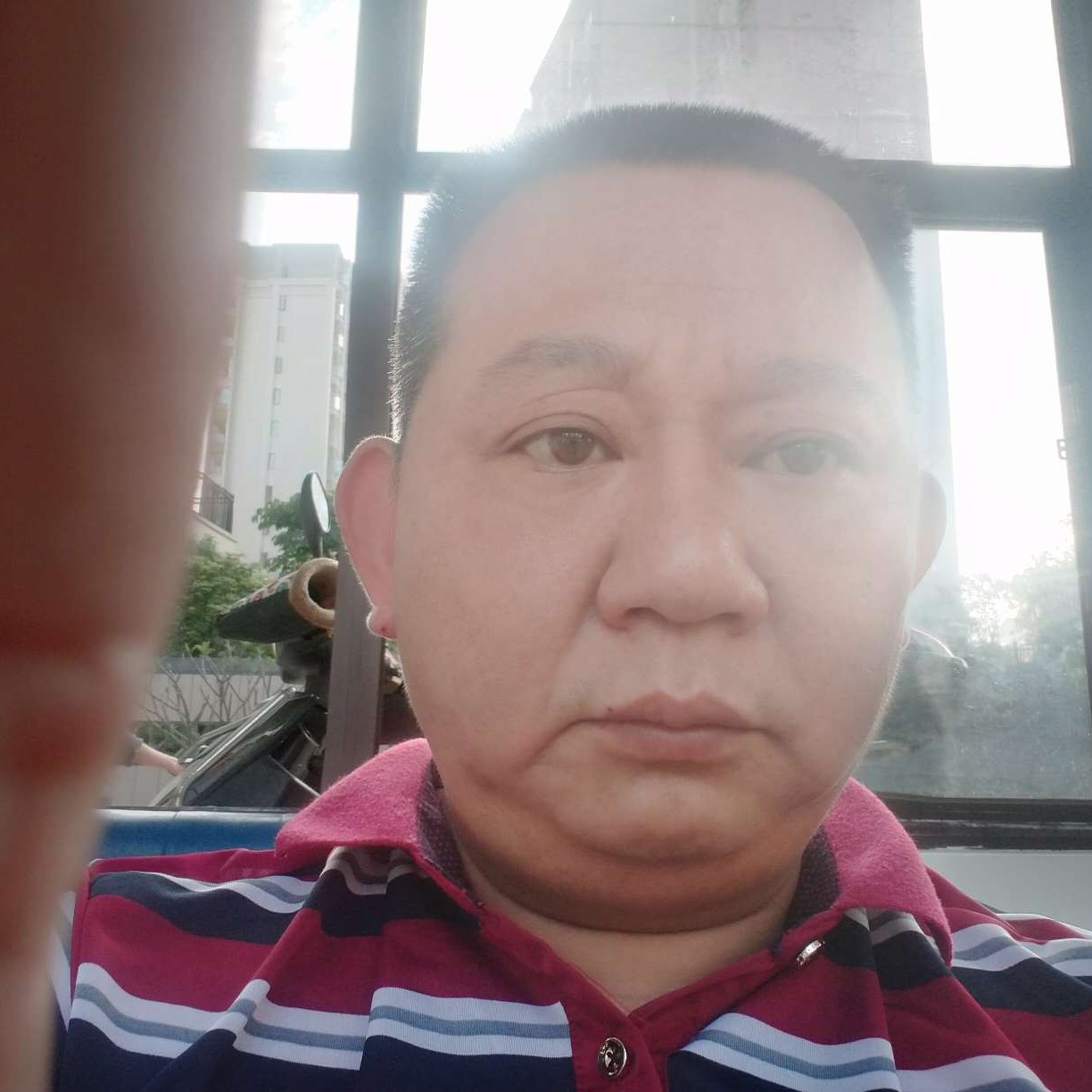 弥老越坚的照片