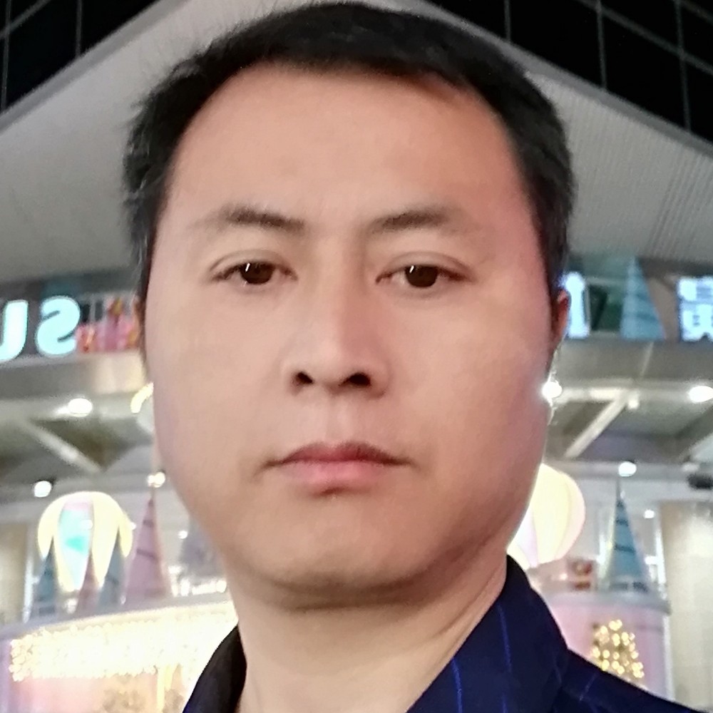 粗暴改变大雁的照片