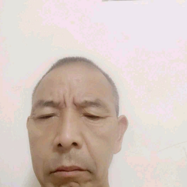 大熊猫的照片