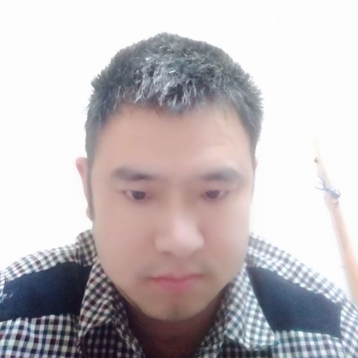 顺利爱恋夏天的照片